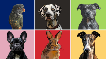 Digital Cartoon Pet Portrait | Turn Pets Into Art